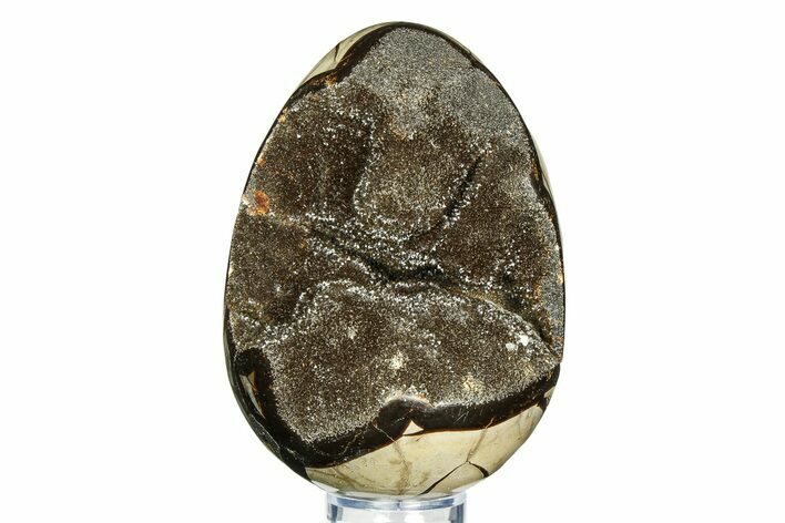 Septarian Dragon Egg Geode - Sparkly Black Crystals #308824